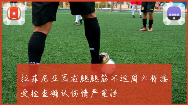 拉菲尼亚因右腿腿筋不适周六将接受检查确认伤情严重性