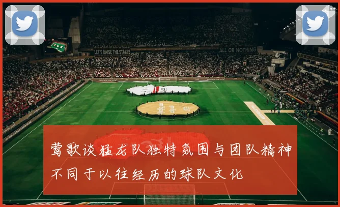 莺歌谈猛龙队独特氛围与团队精神不同于以往经历的球队文化